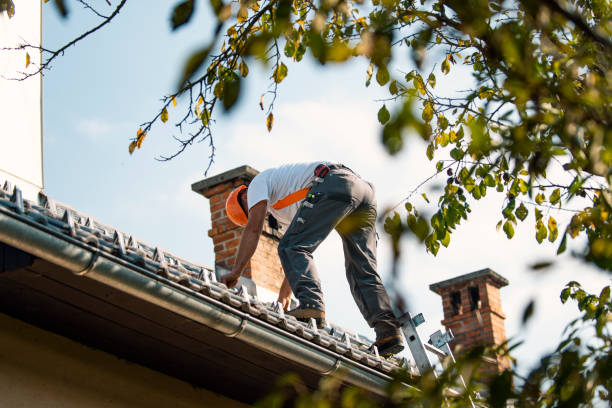 Best Best Roofing Contractors  in Mondovi, WI
