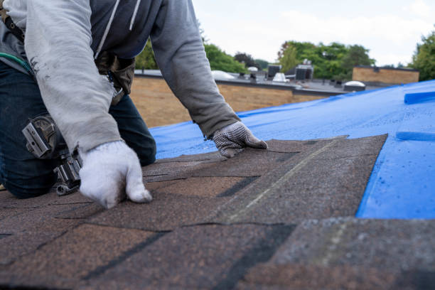 Best Commercial Roofing Services  in Mondovi, WI