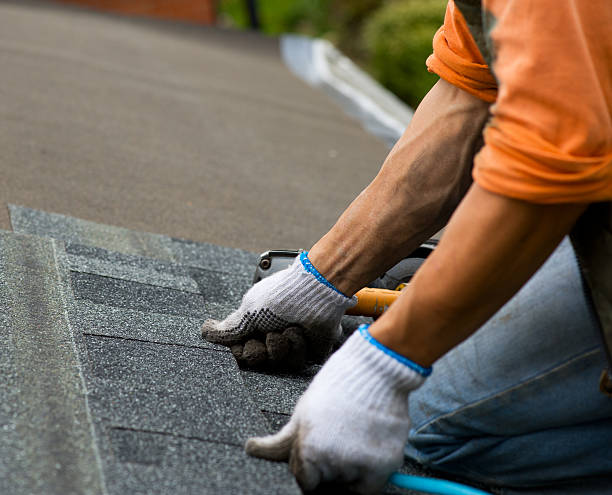Best Roof Gutter Cleaning  in Mondovi, WI