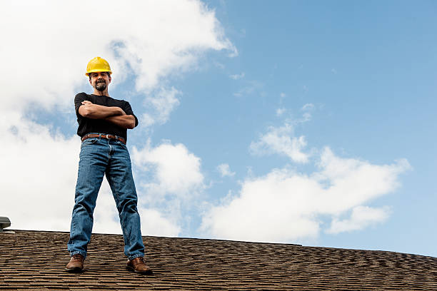 Best Flat Roof Repair Services  in Mondovi, WI